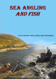 Sea Angling and Fish Ebook